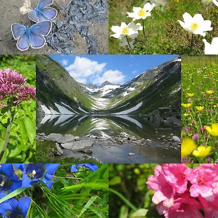 Ferienbauernhof - Berger